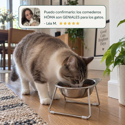 Comedero ortopédico - Gato