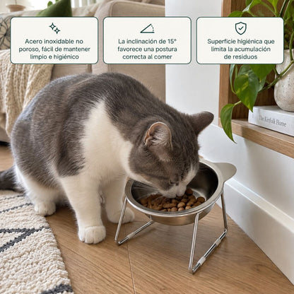 Comedero ortopédico - Gato